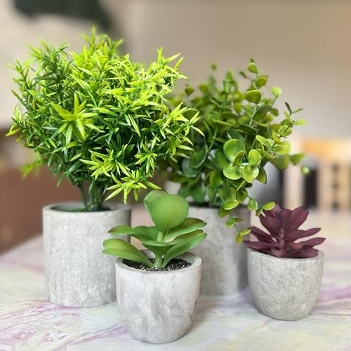 Fake Plants Set of 4 Artificial Plants Indoor Mini Pot Faux Plant Foliage Eucalyptus Rosemary Succulent for Coffee Table Home Room Decor Bedroom Office Kitchen Garden Shelf Desk & Outdoor