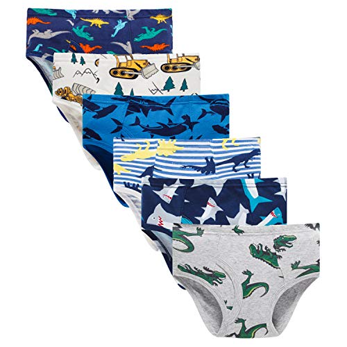 Boboking Little Boys Briefs Dinosaur Truck Toddler Kids Underwear (Pack of 6) 5/6Yrs Mixed Colour