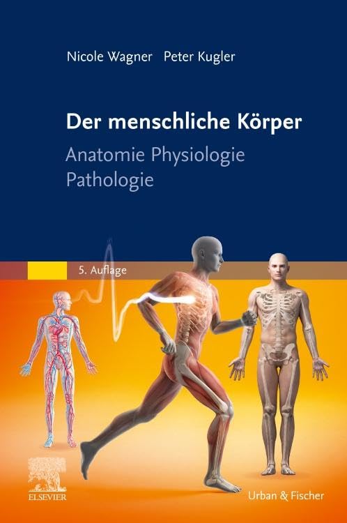 Der menschliche Körper...