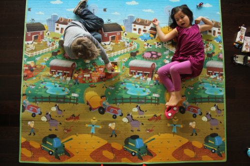 prince lionheart playmat