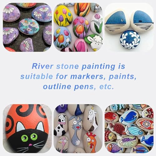 Steine Zum Bemalen Set - 10 Kieselsteine & 10 Pinsel Für DIY Kunstprojekte