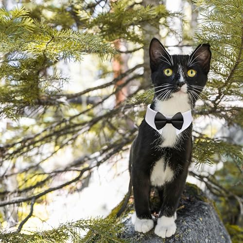 Image of Cat Tuxedo, KOOLMOX Black Cat Bow Tie Sewed with Handcrafted Adjustable White Collar for Formal Pet, Male Cat Collar for Small Puppy Boy Dog Collars Cats Wedding Outfit Birthday Gift Dog Bows