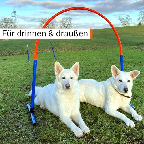 SPORTIKEL24 Hoopers Hoop – wetterfest, VDH-konform & farbig – mit Stecksystem für sicheres Hundetraining – aus robustem Kunststoff – Flexibler Hundesport-Reifen mit Stecksystem – Blau/Gelb