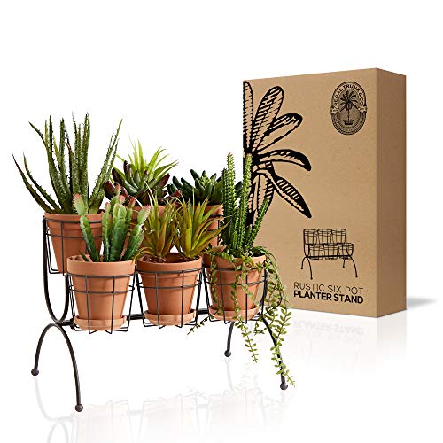 Regal Trunk 6 Pot Tiered Plant StandÂ  - Rustic Indoor Outdoor Plant Stand - Flower Pot Stand - Herb Plant Stands - Succulent Plant Holder - Small Metal Plant Stand for Multiple Plants - Parisian Look