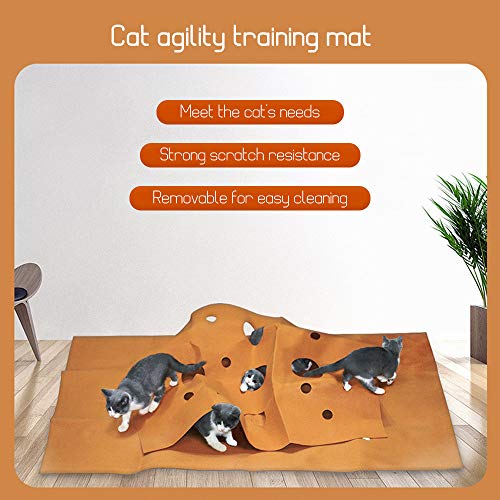 Nishore Tapetes para gatos Tapetes de treinamento para gatos Tapete interno para animais de estimaçã