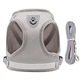 One Piece Cute Cat Harness Lead Set Useful Escape Proof Kitten Harness Comfortable Breathable Cat Leash Reflective Strip Kitten Harness for Cats Dogs Pets