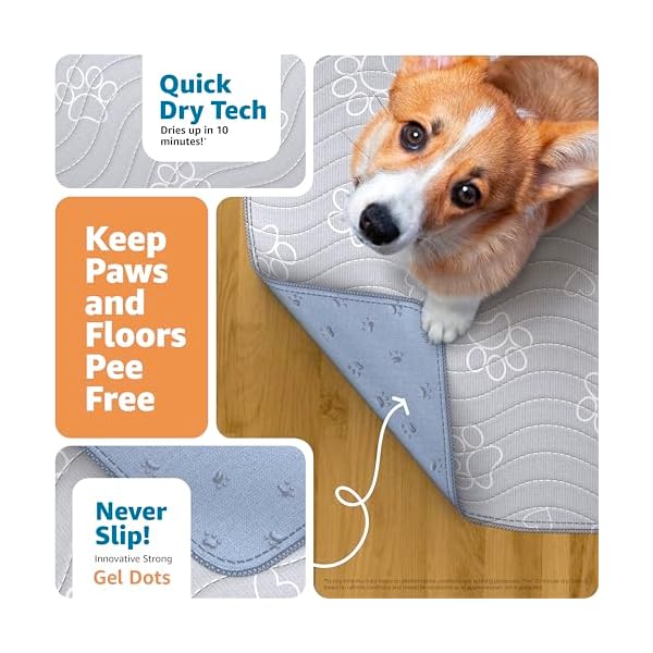 Improvia reusable puppy padwaterproof extra absorbent washable pee pad for dog training whelping moreprotect your floors pet with quick drying potty pad 2 pack 18×24  urban country home decor