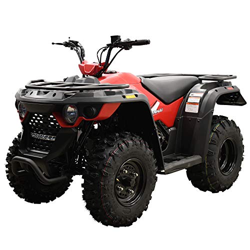 Top 20 Best off road 4 wheeler Reviews & Buying Guide licorize