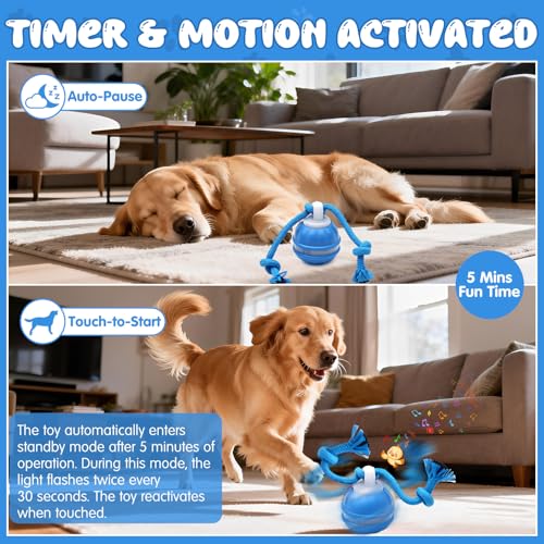 Interaktives Hundespielzeug, Interaktiver Spielball für Hunde mit LED-Lichtern, 3 Spielmodi, Hundeball Elektrisch mit Seil & Bellen, TYPE-C Aufladbar, Hundespielball für Kleine Mittlere Große Hunde