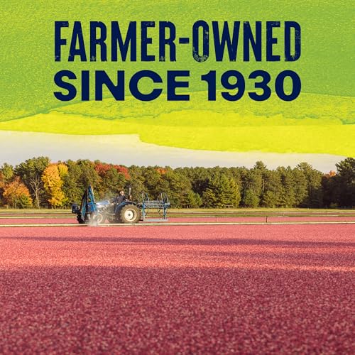 Image of Ocean Spray Craisins Sweetened Dried Cranberries, Chili Lime, 6oz Pouch (Pack of 8)