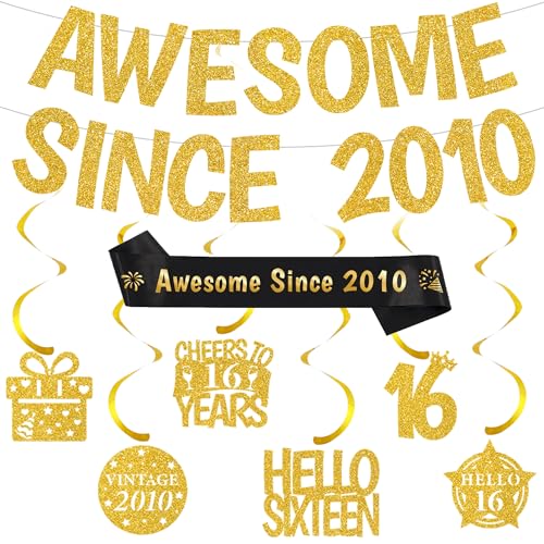 Happy 16th Birthday Decorations for Boys Girls, Awesome Since 2010 Banner