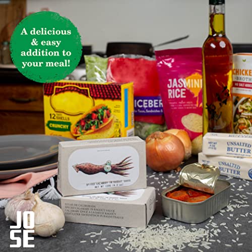 José Gourmet Spiced Calamari in Ragout Sauce