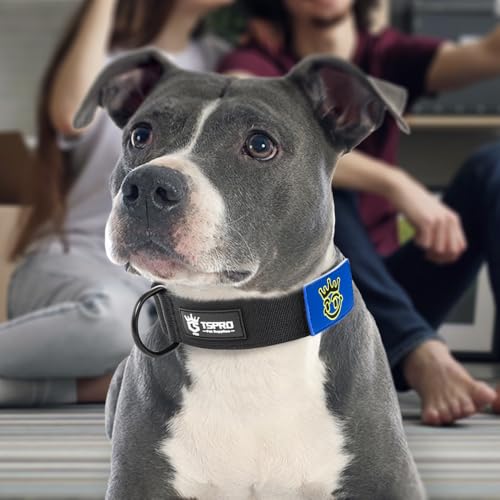 TSPRO Premium Hundehalsband mit Patch Dickes Verstellbares Taktisches Hundehalsband Schwere Ausführung Schnellverschluss Metallschnalle für Mittelgroße bis Große Hunde (Schwarz M)