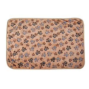 Coral Cashmere Brown Blanket (Large)