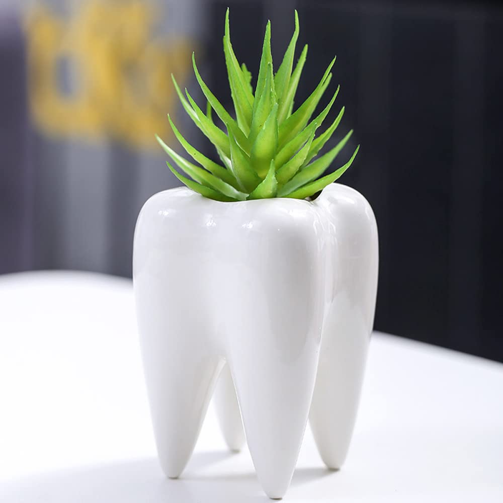 Keramik-Blumentopf In Zahnform – Lustiger Deko-Topf Für Sukkulenten, Ideal Als Geschenk Für Zahnärzte Oder Pflanzenfans