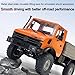 Luminda LDRC LD-1201 1/12 Remote Control Climbing Car, 2.4G 5CH Electric Off Road RC Vehicle Car Crawler Military Truck with LED Lights, Hobby Grade RTR RC Buggy All Terrain for Teens and Adults
