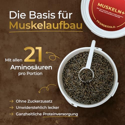 Pferdegold Muskeln+ – Proteinreiche Pferde‑Pellets (52 % Rohprotein) mit 21 Aminosäuren, Spirulina & Chlorella – ADMR‑konform, dopingfrei (750 g)