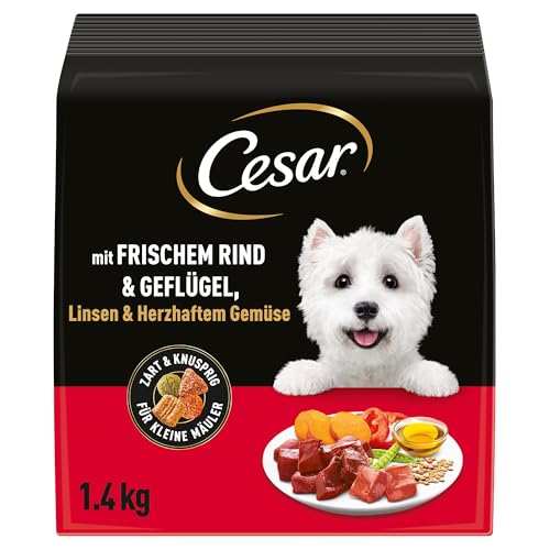 Cesar 5 x 1.4kg Adult Hundetrockenfutter mit frischem Rind, Geflügel & Gemüse