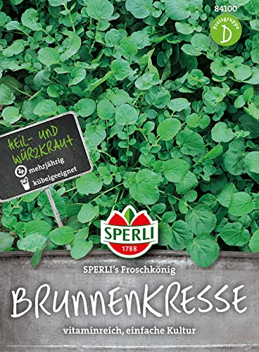 Sperli Brunnenkresse SPERLI's Froschkönig