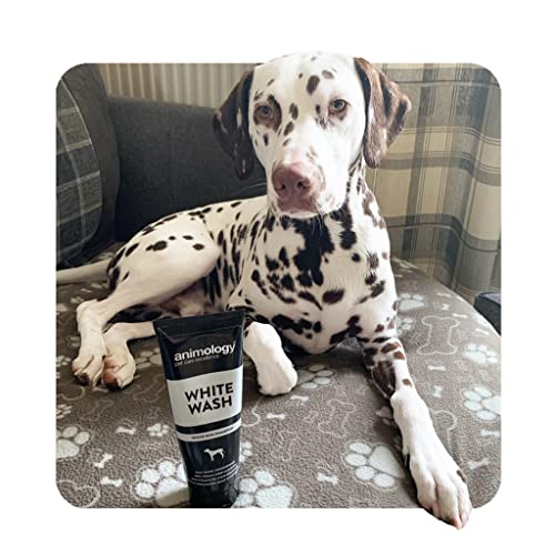 Animology AWW250 Hundeshampoo White Wash