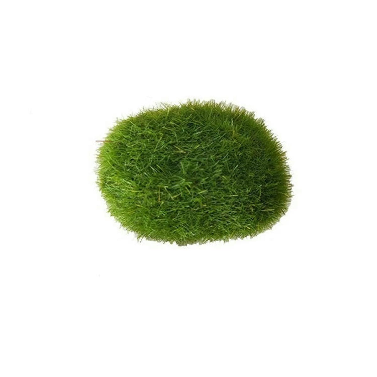 LNHBZ 10Pcs Simulation Moss Stone Artificial Moss Rocks Ball Fake Green Plant for Home Garden Flower Pot Decoration Creative Crafts-5x4cm