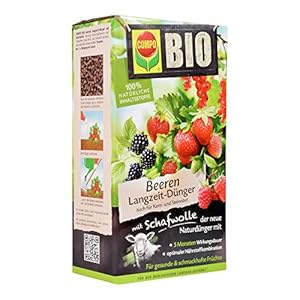 Compo BIO Beeren Langzeit-Dünger für alle Beerenpflanzen, Kern- und Steinobst, 5 Monate Langzeitwirkung, 2 kg