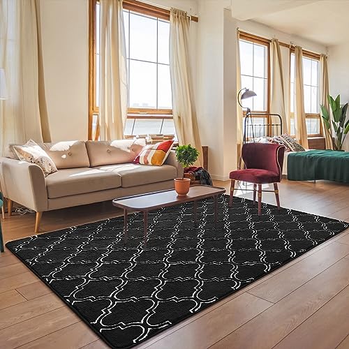 Tapetes, Home tapete negro Marca HOMORE (2)