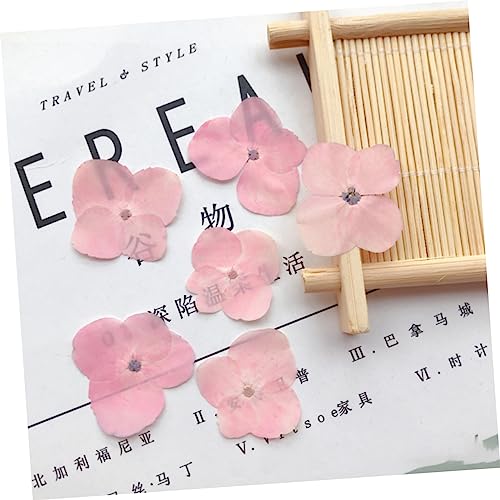 Kit artesanal 30 piezas flores secas prensadas miniatura 2