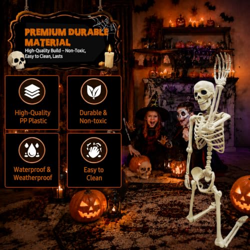 Image of NLShan Life Size Skeleton for Halloween: 5.4ft Human Anatomy Skeleton