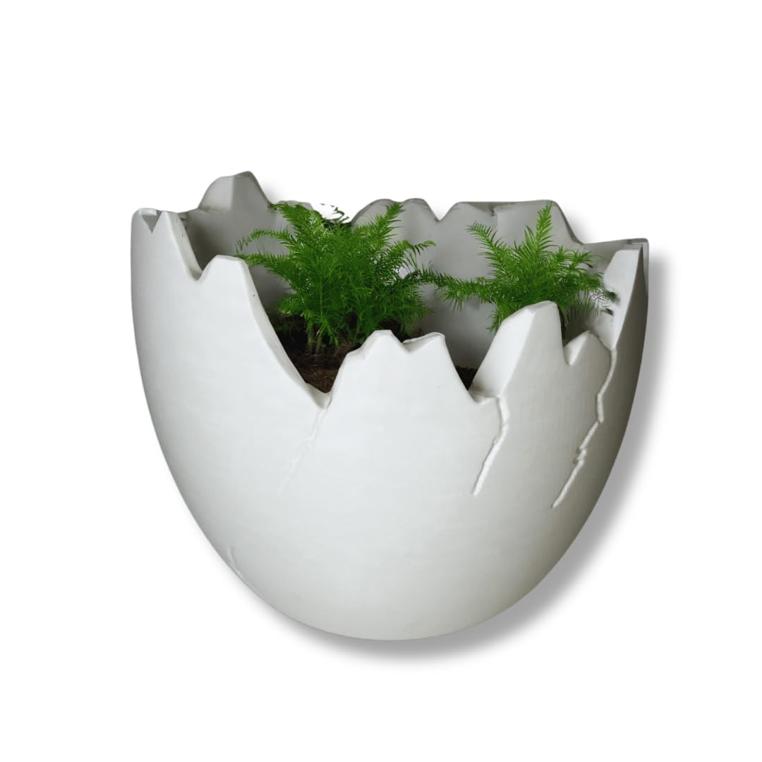 Amazon.com : Chatelet Dinosaur Egg Shell Planter | Unique Dinosaur Tabletop  Indoor or Outdoor Planter Pot | Flowers, Succulents, or Vegetable Pot |  Made in USA (Small White) : Patio, Lawn & Garden