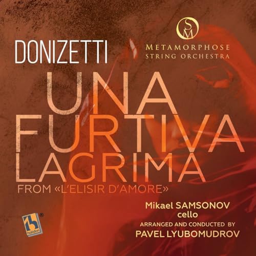 Metamorphose String Orchestra, Pavel Lyubomudrov & Mikael Samsonov