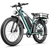 Jasion EB5 MAX Electric Bike for Adults with 2000W...