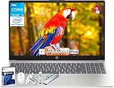 HP 15.6' Touchscreen Laptop for Student & Business, Microsoft Office Lifetime License, Intel 13th Gen Core i3-1315U, 64 GB RAM, 2 TB SSD, Intel UHD Graphics, Fast Charge, HD Camera, Windows 11 Pro