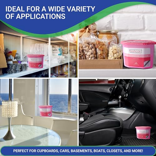 Image of Davsorb Moisture Absorber | Pack of 10-100g each | Dehumidifier for Wardrobe, Cupboards & Drawers, Room, Car, Shoe rack | Refresh Every Place | Fight against Moisture, Mold, Fungus & Bad Odor