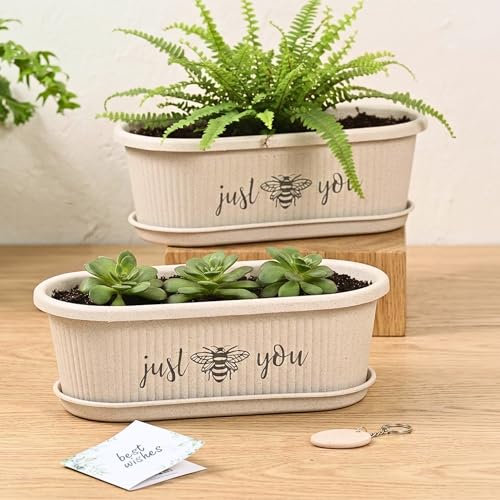 Image of Eha Earth-Friendly Printed Regalia Planters for Home Decor | 12 Inch, Pack of 2 Without Growmix | Plant Gifts Made with Rice Husk Biocomposite | Flower Pot for Living Room| Sand Castle