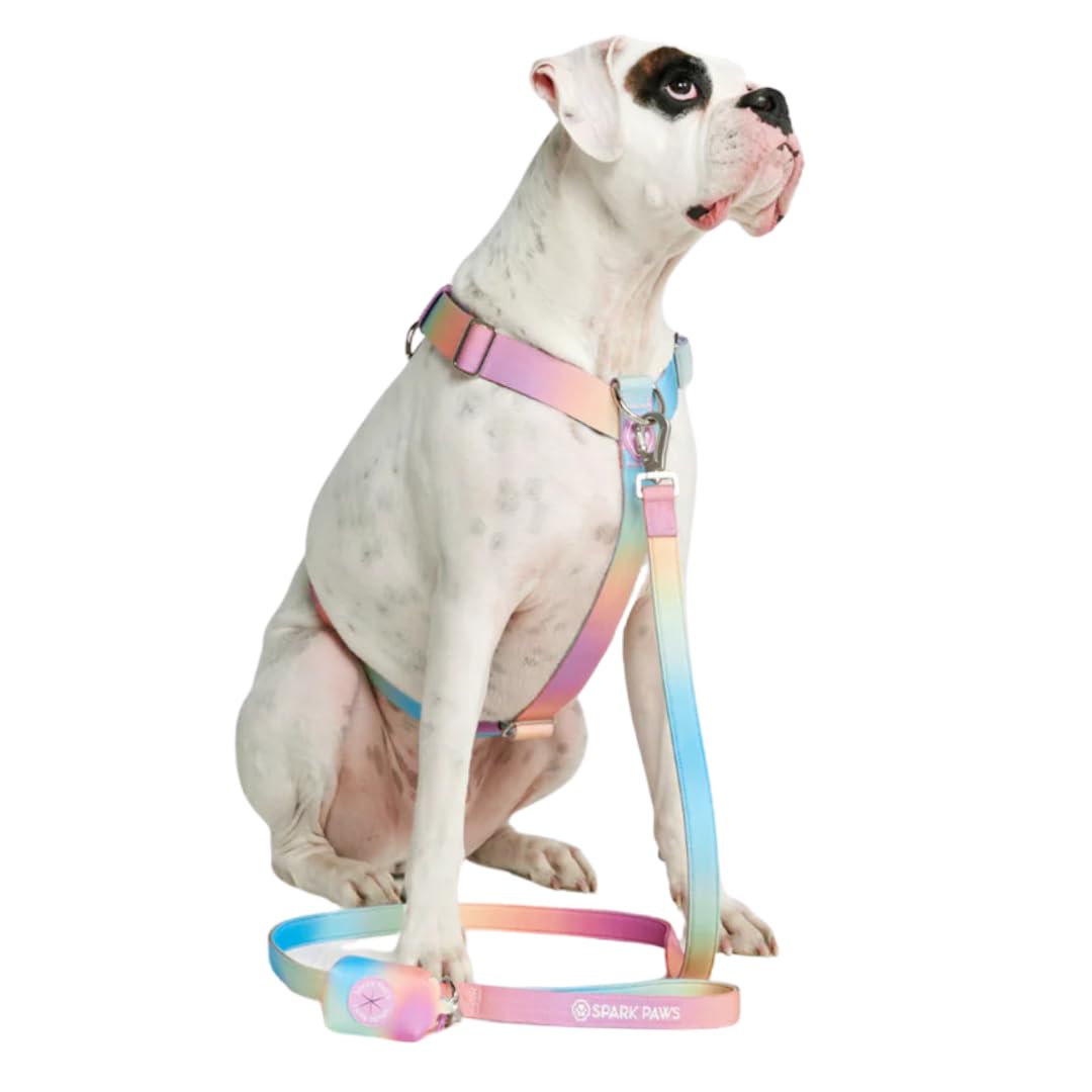 Spark Paws Ensemble laisse et sac à déjections canines de qualité supérieure – Crochet en alliage robuste pour les races puissantes – Confortable, durable et sécurisé – Glaçage pastel