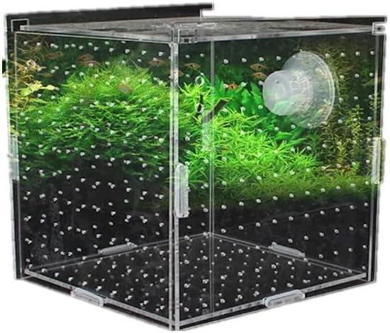 HEPBAK 1pcs Fish Tank Transparent Aquarium Single Double Multi Grid Isolation Box Small Fry Incubator Breeding Box Aquatic Pet Supplies (Color: 14x14x14cm)