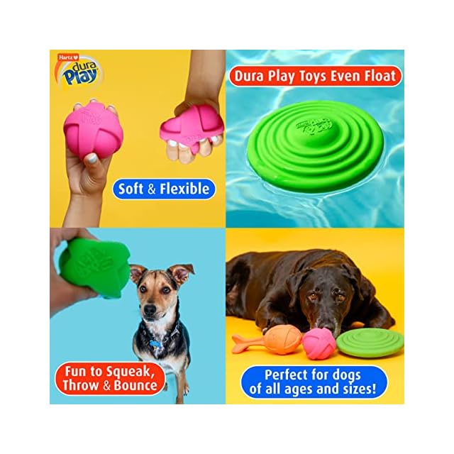 Hartz Dura Play Bacon Scented Squeak Ball Dog Toy for Small Breeds, 3