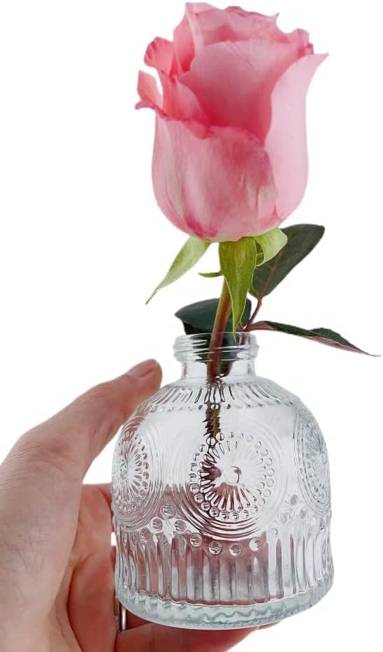 MEETOZ Glass Bud Vases Set of 6,Mini Vintage Bottles,for Home Wedding Party Event Office,Petite Modern Glass Flower Vase Floral Arrangements (Transparent-X) - Image 3