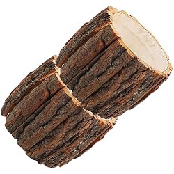 Maceteros De Madera Para Suculentas Yardwe 2 Piezas Pequeño Cubo De Madera Maceta De Cactus con Corteza De Madera Macetero Suculento Maceta De Arreglo Floral De Troncos Macetero De Flores De Barril Estilo Rústico Suculentas