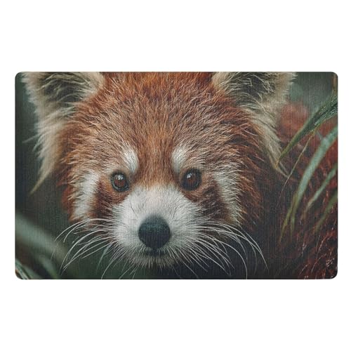 Felpudos Estampado De Panda Rojo Impermeable Doormat Antisuciedad Felpudo para Jardín Dormitorio Portón 40X60 Cm