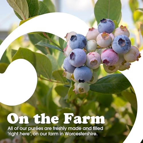 Purchase Little Mixers Super Premium Blueberry Puree – Enrich Your Cocktails, Desserts, & Smoothies Today! Purchase Little Mixers Super Premium Blueberry Puree - Enrich Your Cocktails, Desserts, & Smoothies Today! – LITTLE MIXERS