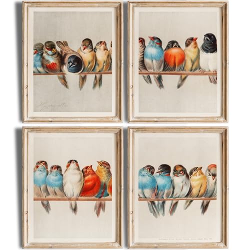 A Perch Of Birds Art Prints (Set of 4) - Unframed - 8x10s | Perfect Wall Decor for Living Room, Bedroom, or Office | Bring Nature's Serenity and Charm to Your Space | Wall Art Bird Lovers