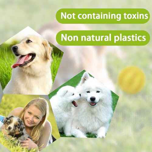 Roysmart 4 Stück Robuster Hunde Ball, Hundeball mit Zahnpflege-Funktion, Bissfestes Hundespielzeug, Naturgummi Hund Feeder Ball für Kleine Hunde (5cm)