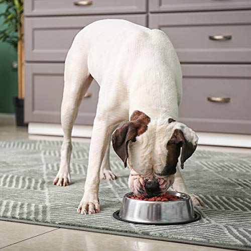 INONE Stainless Steel Dog Bowl with Rubber Base for Food and Water, Pet Food Container, Perfect Dog Bowls Choice for… - Image 5
