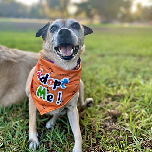 Giving Paws - Adopt Me Dog Bandana - Puppy Bandanas With Sweet Sayings And Eye-Catching Solid Colors - Giving Back To Pets In Need - Pink Bandanas For Dogs - Small/Medium #TOP1
