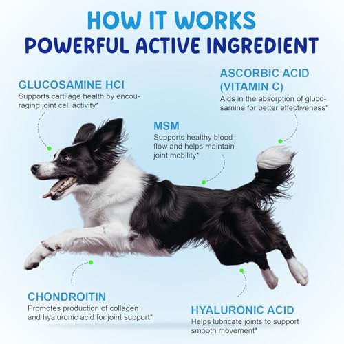 Gelenk- & Knochenschutz für Hunde, 100 % Natürliche, Unterstützt Beweglichkeit und Flexibilität, Ergänzungsmittel für Hüften und Gelenke für Hunde, Mit Speckgeschmack, 60ml