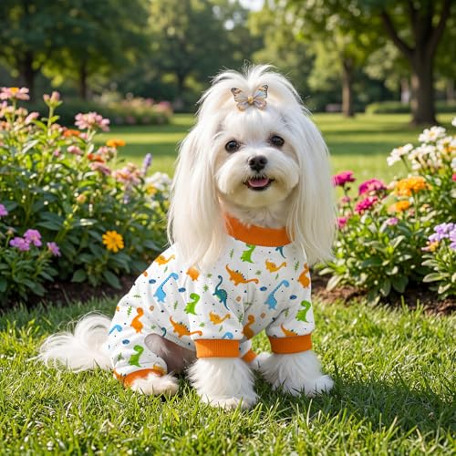 Pijama para perro talla mediana Dinosaurio miniatura 5
