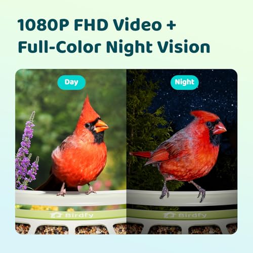 Image of Birdfy Smart Bird Feeder with Camera, Durable Metal Bird Feeders for Outdoors, Auto-Detect & Record HD Videos, Instant Alerts & Live View, Solar Powered, Weatherproof for Backyard, Ideal Gift for Mom