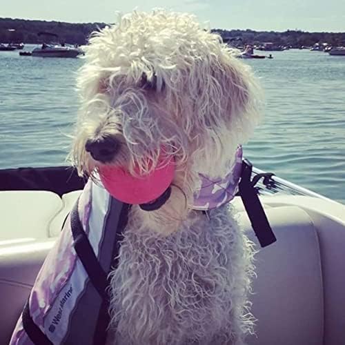 Glow-In-The-Dark Toys